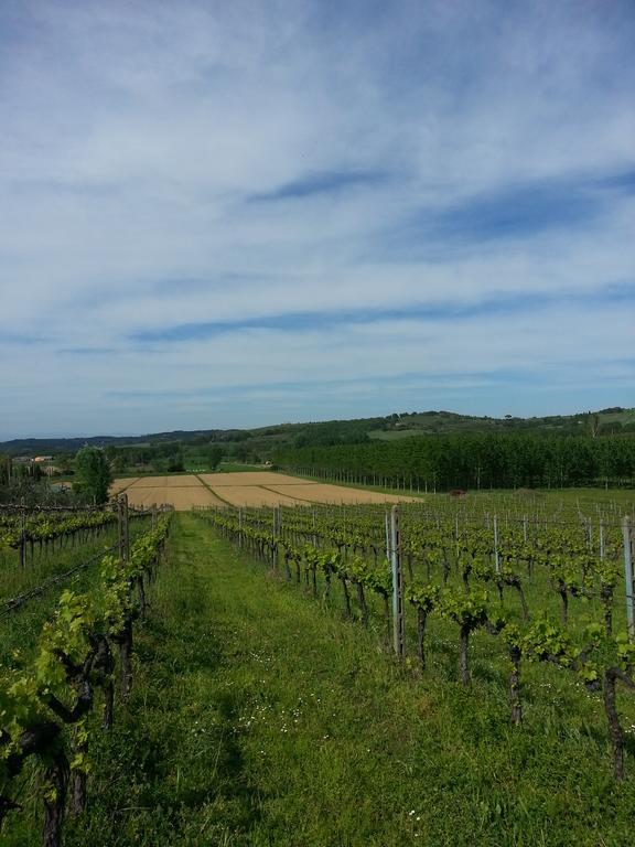 Podere Chiasso Gherardo Villa Peccioli Kültér fotó