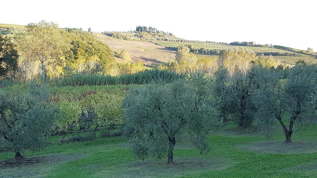 Podere Chiasso Gherardo Villa Peccioli Kültér fotó