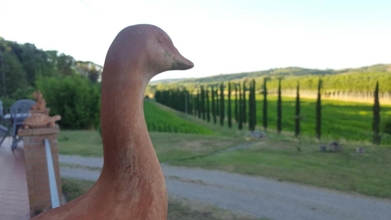 Podere Chiasso Gherardo Villa Peccioli Kültér fotó