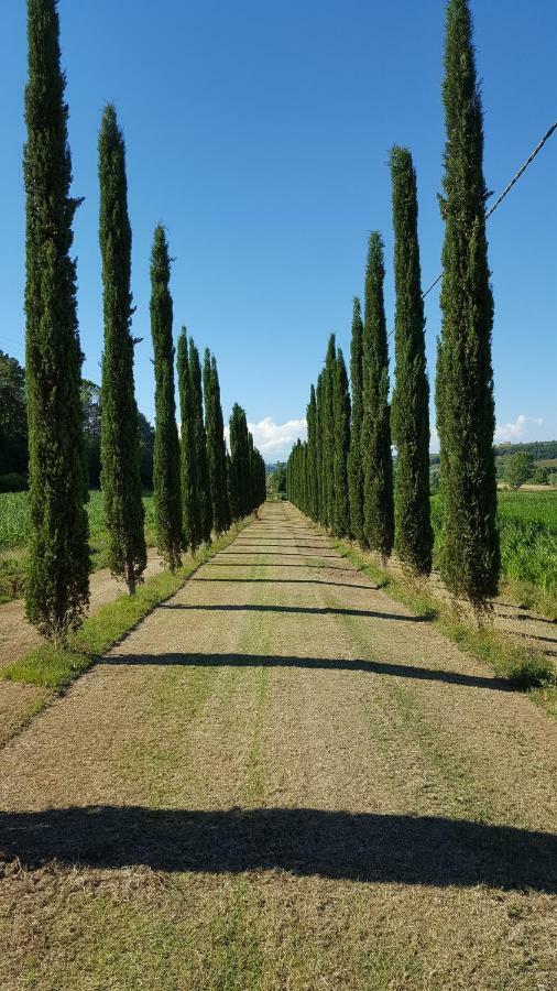 Podere Chiasso Gherardo Villa Peccioli Kültér fotó