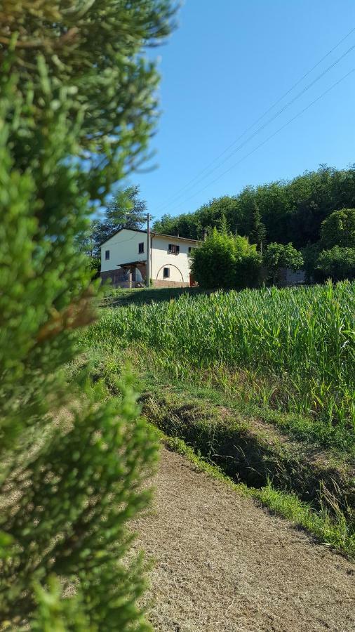 Podere Chiasso Gherardo Villa Peccioli Kültér fotó