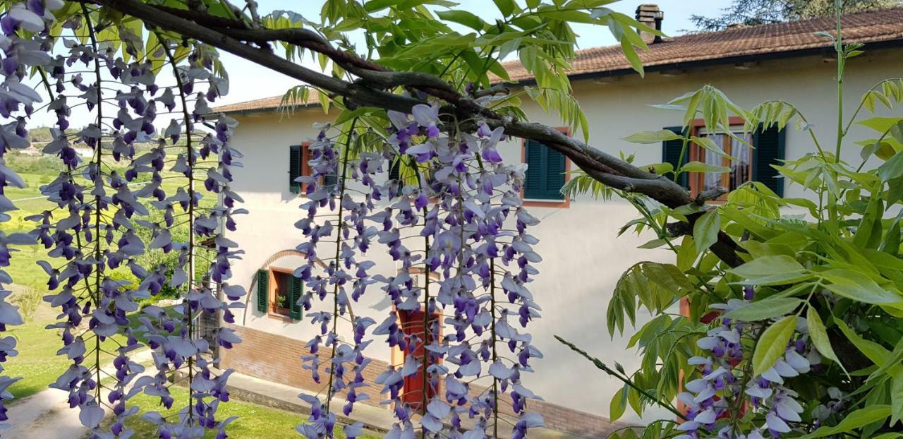 Podere Chiasso Gherardo Villa Peccioli Kültér fotó